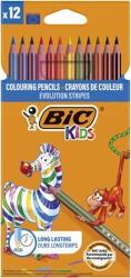 BIC Színes ceruza készlet, BIC KIDS "Evolution Stripes", 12 különbözõ szín (12 db) (BC9505222)