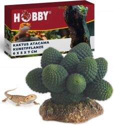 Hobby Atacama kaktusz Hobby (37018)