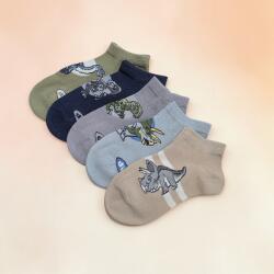 Aura Via Fiú titokzokni szett - 5 pár dinó mintás 24-27 115293