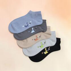 Aura Via Fiú titokzokni szett - 5 pár dinó mintás 28-31 115305