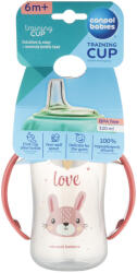 Canpol babies Babies Cana Antrenament Silicon 320 ml Cute Animals-Cat 56/512_pin2 (5903407165356)