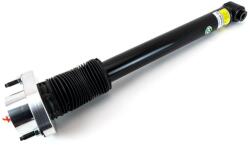 Arnott Amortizor Arnott ulei spate SKE-5713 (SKE-5713)