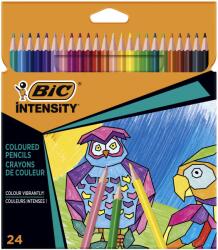 BIC Creioane colorate triunghiulare BIC Intensity, 24 culori/set