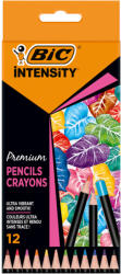 BIC Creioane colorate BIC Intensity Premium, 12 culori/set