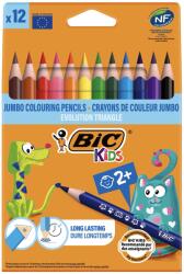 BIC Creioane colorate BIC Evolution Triangle, 12 culori/set