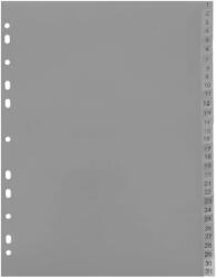 Optima Index plastic numeric 1-31, OPTIMA