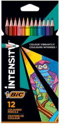 BIC Creioane colorate triunghiulare BIC Intensity, 12 culori/set
