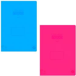 NEBO Caiet A5, 80 file, coperta plastic, NEBO matematica