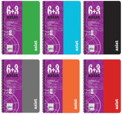 Keskin Color Caiet cu spirala A4, 225 file, 9 sectiuni, coperta plastic, KESKIN COLOR Asist