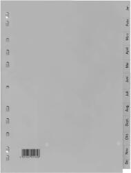 Optima Index plastic calendaristic Ian-Dec, OPTIMA
