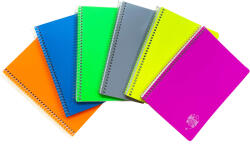 DACO Caiet cu spirala A5, 96 file, coperta plastic, DACO Atinge Excelenta velin