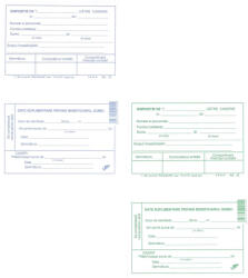  Dispozitie de plata catre casierie, autocopiativa, A5, 2 exemplare