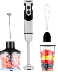 MEGAWISE Pro Titanium 5 in 1 Blender