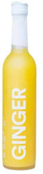 Ile Four Ginger 0, 5l 14%