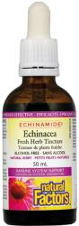 Natural Factors Echinamide Echinacea Tinctură de plante, 50 ml, Natural Factors