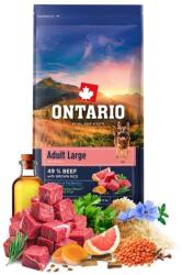 ONTARIO Adult Large Beef & Brown Rice 20 kg - SÉRÜLT CSOMAGOLÁS