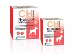 Chemical Ibérica Hyalophyt MSM Giants - Supliment pentru articulatii - 120cpr