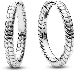 Pandora Moments kis charm karika-fülbevaló (292728C00)
