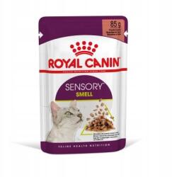 Royal Canin Sensory Smell 12x85g nedves eledel darabok szószban felnőtteknek (9003579018507)