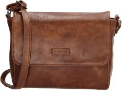 Beagles Murcia 20388 Brown