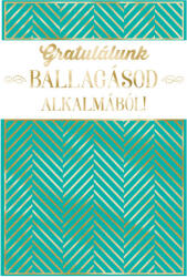 Cardex Képeslap, Gratulálunk Ballagásod alkalmából (LUFI479028)