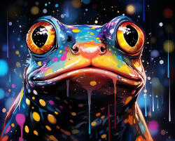 Alkotásutca Kreatív béka portré - Számfestő készlet kereten 40x50