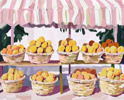 Alkotásutca Barackba borulva - Számfestő készlet kereten 40x50