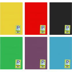 PAPERLAND Caiet scolar A4, 80 file, coperta plastic, PAPERLAND PP300 dictando
