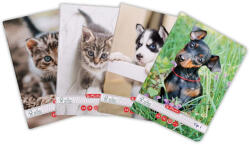 Herlitz Caiet A5 tip I, 36 file, HERLITZ Cats and Dogs