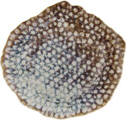 Tognana Lapos tányér Reef Marine, hosszúság: 320 mm, szélesség: 300 mm