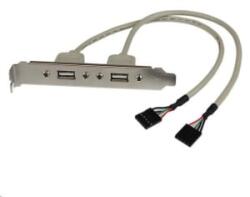 StarTech 2x USB hátlapi kivezetés (USBPLATE) (USBPLATE) - aqua