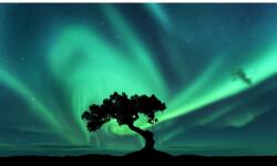 MÉDIA vászonkép, Univerzum, 75 x 50 cm (TABIMG5306)