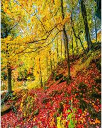 Media Öntapadó és mosható falfestmény Vörös leveles szőnyeg, 150 x 205 cm (FOTOTAP5543)