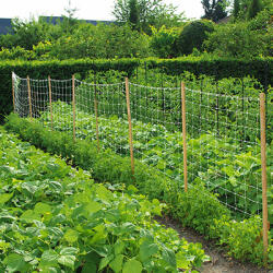 Nortene Komposztálható uborkaháló lebomló anyagból, Trellinet Compost, 20 cm x 20 cm szemméret (2x5 méter) fehér (2022738)