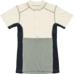 Devold Lauparen Merino 190 Zip Tee Wmn (go 245 516 A 010b)