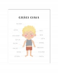 BELATONI Oktató poszter Különböző Típusok ábécé föld szorzás térkép nap 40x30 cm (Edukacja)