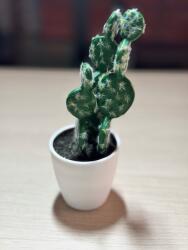 ZD Trading Kaktusz cserépben Mesterséges Dekoráció 14 cm (3009091)