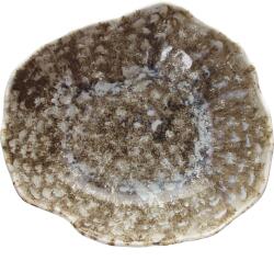 Tognana Farfurie adâncă Reef Marine, lungime: 230 mm, lățime: 200 mm