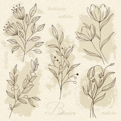  Virág Beige Illustration szalvéta 20 db-os 33x33 cm (PKK057333) - eking