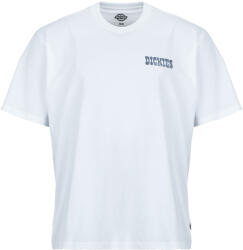 Dickies Tricouri mânecă scurtă Bărbați PLAIN CITY SS TEE WHITE Dickies Alb EU S