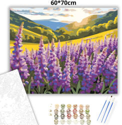  Csillagfürtös hegyoldal - számfestő készlet - 60×70 cm (Keretre feszítve)