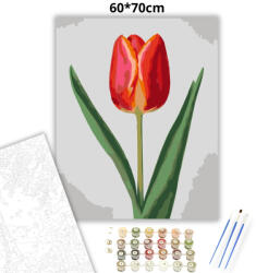  Letisztult tulipán - számfestő készlet - 60×70 cm (Keret nélkül)