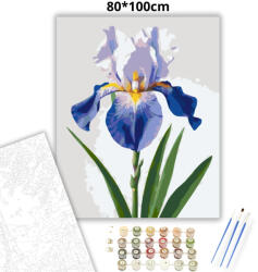  Derűs írisz virág - számfestő készlet - 80×100 cm (Keret nélkül)