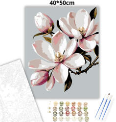  Tavaszi magnólia virág - számfestő készlet - 40×50 cm (Keretre feszítve)