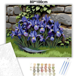  Tavaszi íriszek a kőfalnál - számfestő készlet - 80×100 cm (Keretre feszítve)