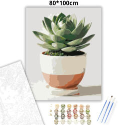  Pozsgás szobanövény - számfestő készlet - 80×100 cm (Keret nélkül)
