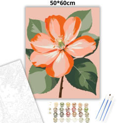  Légies barackvirág - számfestő készlet - 50×60 cm (Keret nélkül)