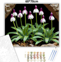  Árnyékban nyíló vad orchideák - számfestő készlet - 60×70 cm (Keret nélkül)