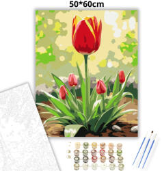  Napsütötte tulipán - számfestő készlet - 50×60 cm (Keretre feszítve)