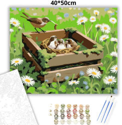  Fészeknyi madárka - számfestő készlet